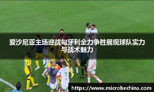 完美体育官网