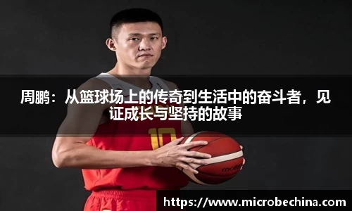 完美体育官网