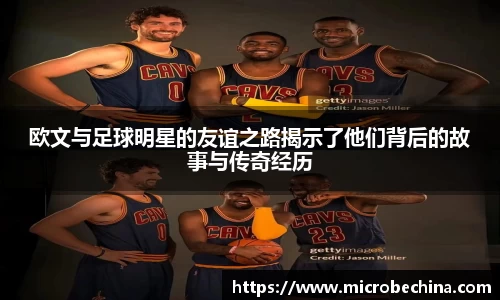 完美体育登录入口